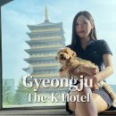 투더펫 | 경주 애견동반 숙소 더케이호텔 경주 펫프렌들리 디럭스룸 전면뷰 내돈내산 솔직후기