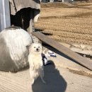 서동농장 이미지