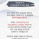 착한한우고기간