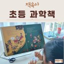 호기심생활과학2 | 호기심 채우는 초등 과학책 생활 속 에너지 꼬마과학뒤집기