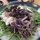 산촌흑염소 - 청주시 상당구 | 산촌흑염소