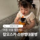 오스카 - 평창군 진부중앙로 62-4 | 유아 스텐 물병 칼오스카 사용 후기｜18개월 아기 텀블러로 써본 솔직 리뷰