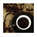 Morethan Coffee 이미지
