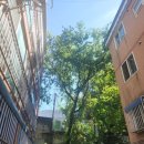 (주)큰나무 이미지