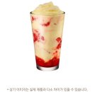 뚜레쥬르분당두산 네이버블로그
