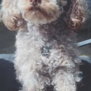 명동 게임랜드 이미지