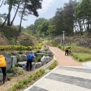 산삼주제관 이미지