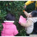 용용농장 이미지