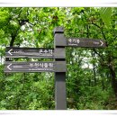 서울매봉초등학교 이미지