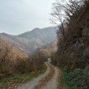 하천리-6 이미지