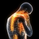 씨에스나무병원 이미지