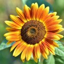 부평3동 행정복지센터 이미지