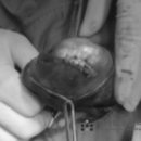 한가람동물의료센터 이미지