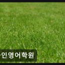 파인영어학원 - 강남구 헌릉로 569 | 파인영어학원 원어민과 100% 영어 몰입 수업
