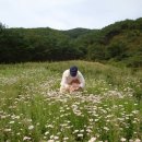 다선정 이미지