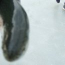 인산낚시터 이미지