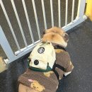 멍스가든 이미지