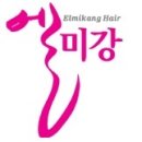엘미강