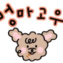 멍마고우 이미지