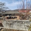 스테이그랴 이미지