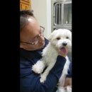 산본중앙동물병원 이미지