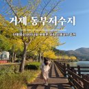 거제주유소 | 거제 단풍명소 동부저수지 연인나무 포토존 위치 산책코스