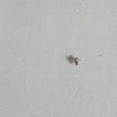 로하스일산병원 이미지