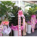 (주)금성화학 이미지