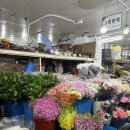 대도빌딩 | 꽃 좋아하면 여기 무조건 가세요｜대도종합상가 3층 남대문 꽃시장 꽃나눔 후기|남대문 주차장 정보