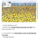 필수의료 바이탈 의사들에게 있어서 한국 의료는 오징어 게임 이미지