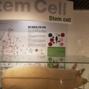 중앙헬스 이미지