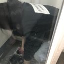 더탐나홈케어