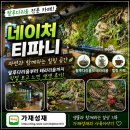아쿠아티파니 | [아쿠아탐방기] 경기 의왕시 자연을담은 아쿠아카페 "네이처티파니"