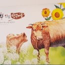 토바우안심한우마을 이미지