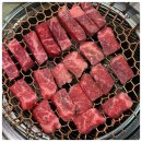 고귀한고기