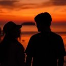 반딧불 프리미엄 이미지