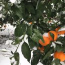 점봉여관 이미지