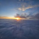 휴먼앤피트니스 | 제주도 그랜드조선 제주 호텔 힐스위트 가든뷰 트윈-후기 제주도 벚꽃