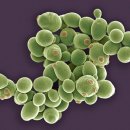 정문큰약국 이미지