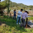 불갑농촌테마공원 이미지