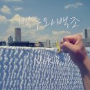 노키(NOKI)