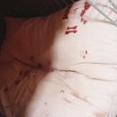 엘레강스펫샵 이미지