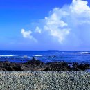 남원읍 공천포구 이미지