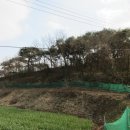 창녕군장마면동정보건진료소 | 경상남도 창녕군 장마면 동정리 임야 경매