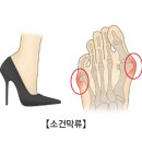 바렌티노 이미지