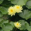 한신·SK공인중개사사무소 이미지