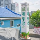 푸른도시원예 협동조합 | 익산 식물을 심으며 힐링하는 실내 체험 푸른솔도시농업체험장