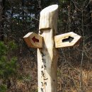 남도 문화 탐방ㅡ1(화엄사와 주변 둘레길)
