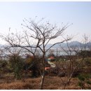 서호농장 이미지