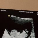 수성S여성의원 이미지